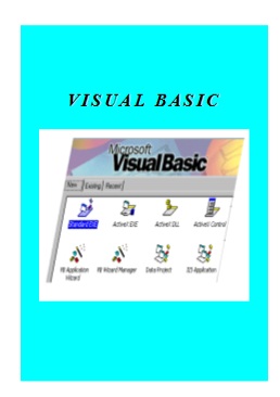 Visual basic